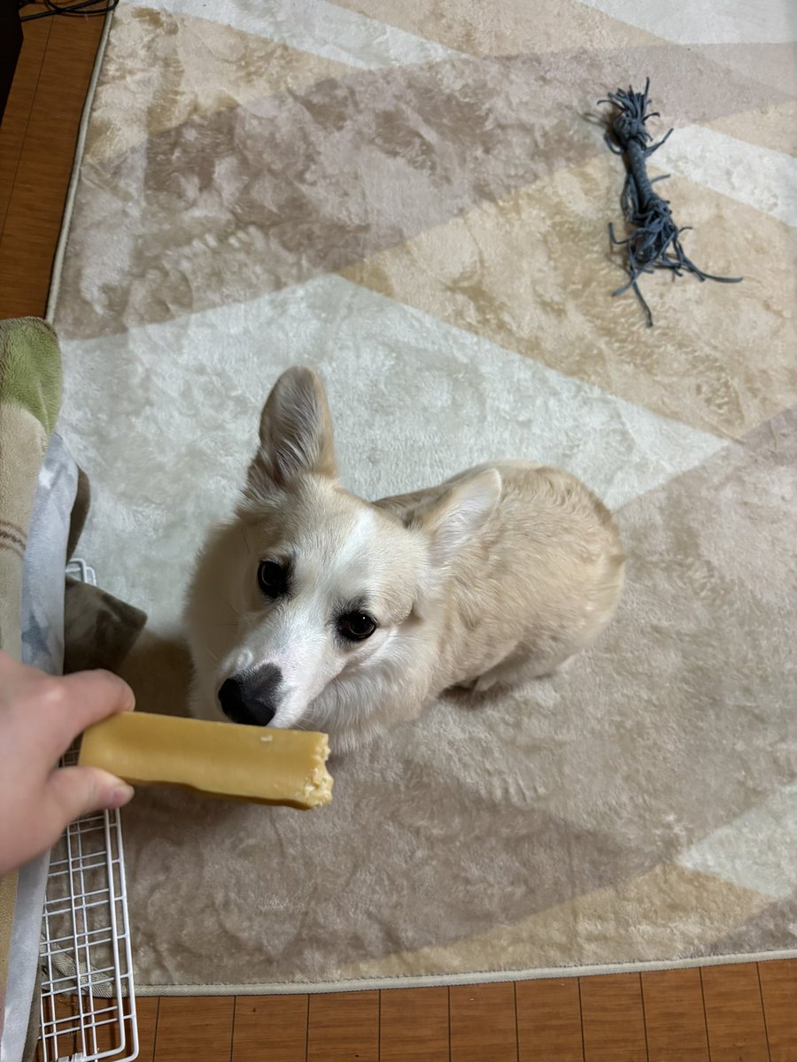 いちみ tweet media