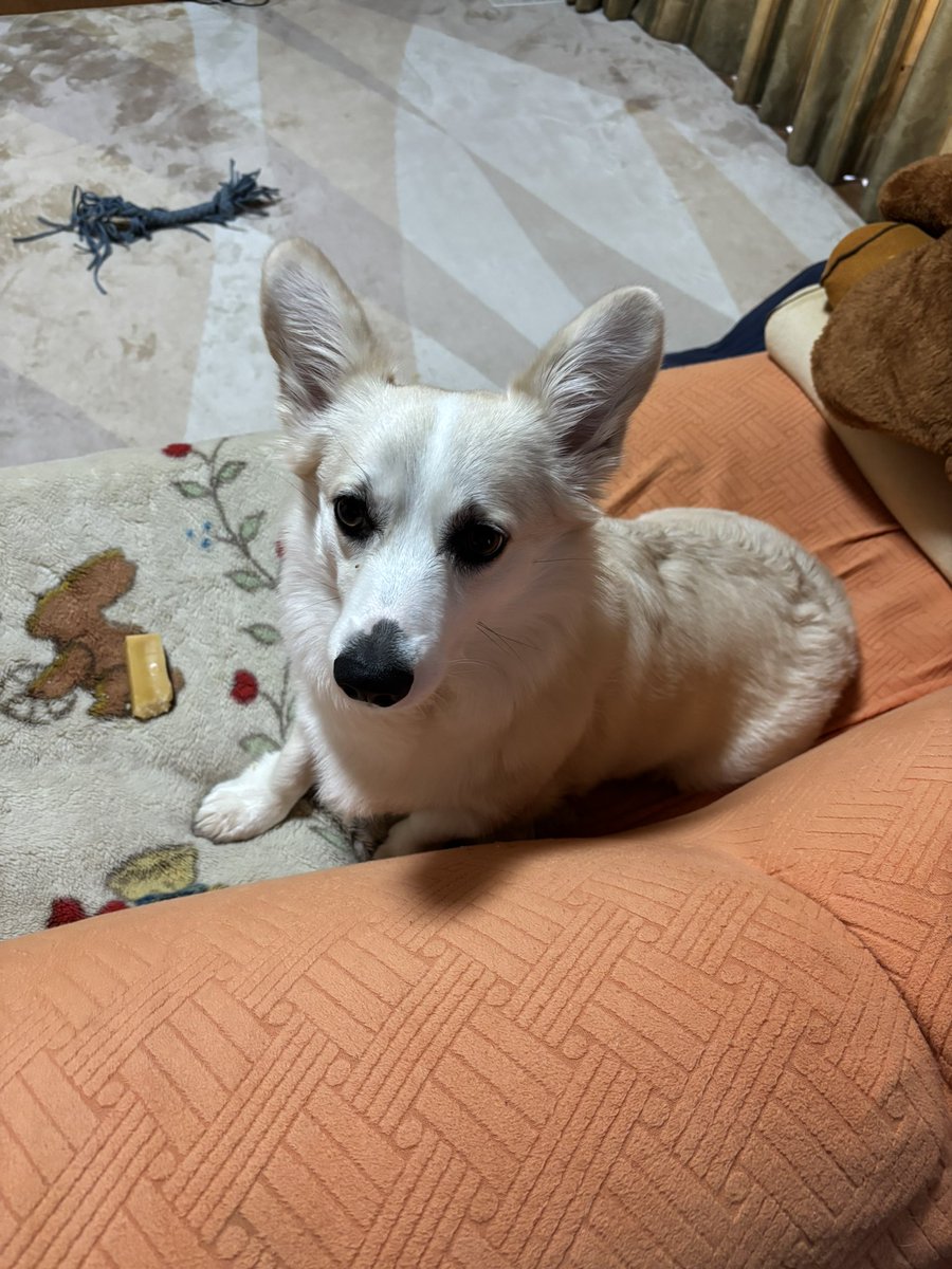 いちみ tweet media