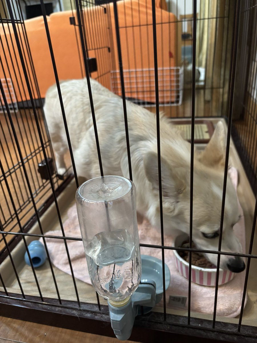 いちみ tweet media