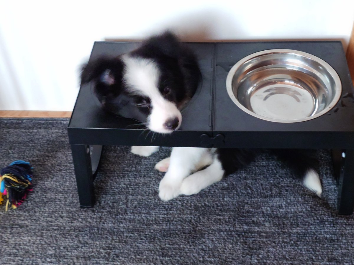 ノーフェイス tweet media