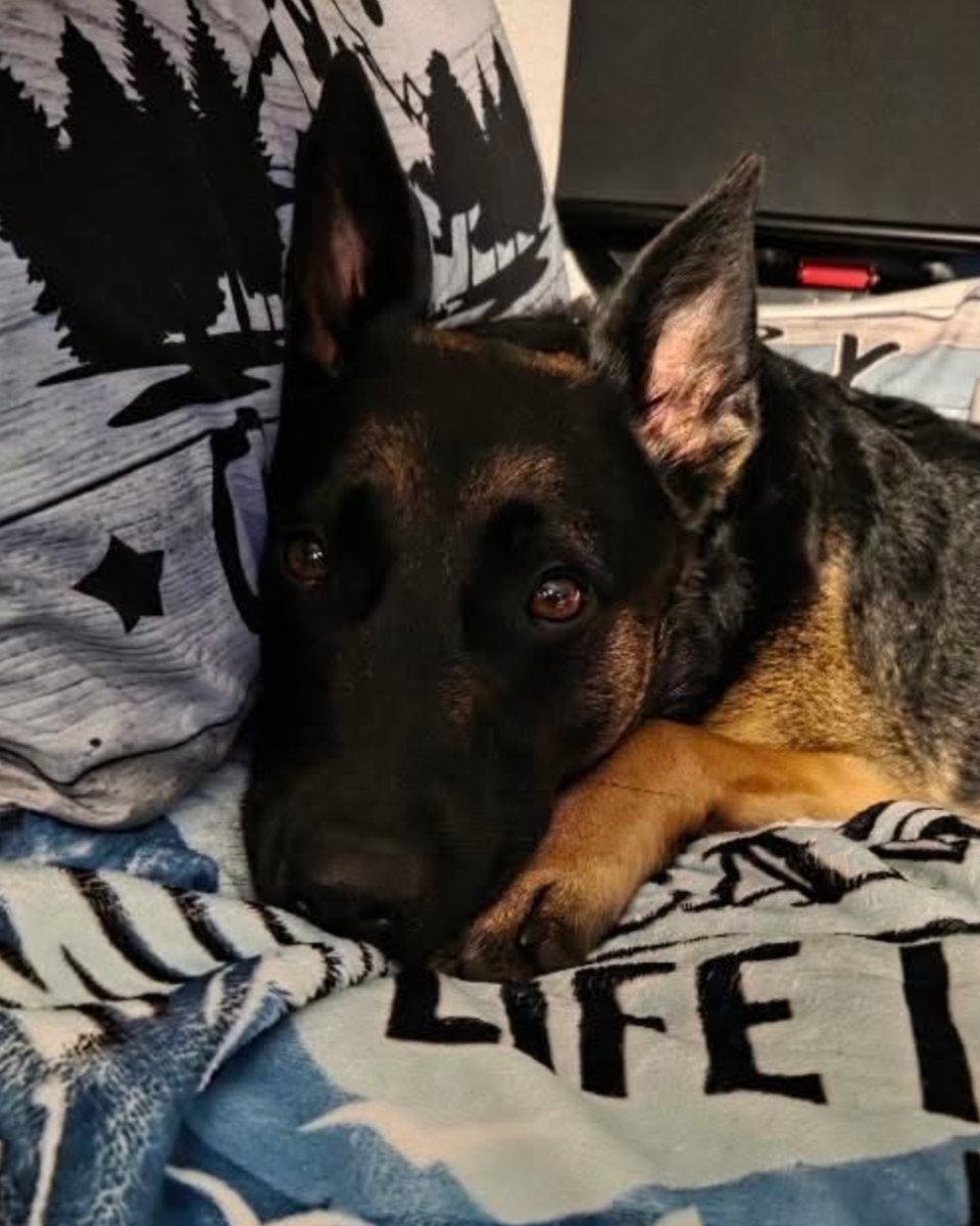 Go RVing tweet media