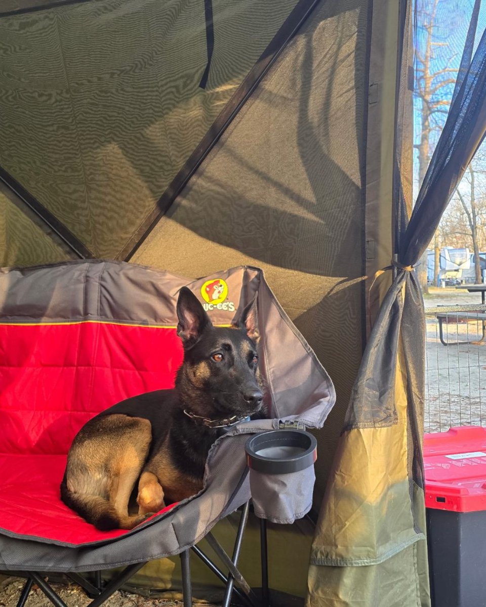 Go RVing tweet media