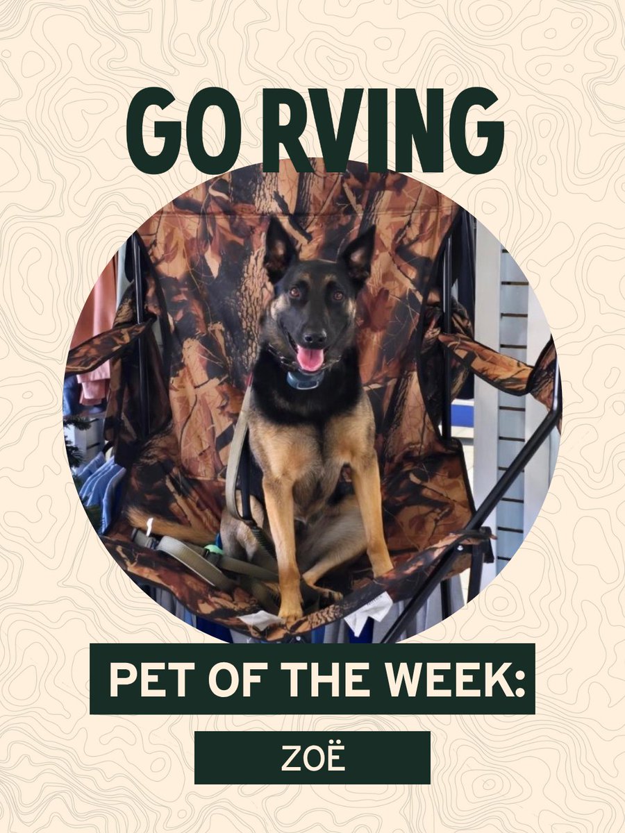 Go RVing tweet media