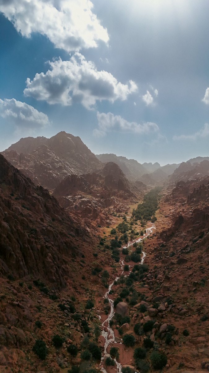 عبدالله محمد المنيع tweet media