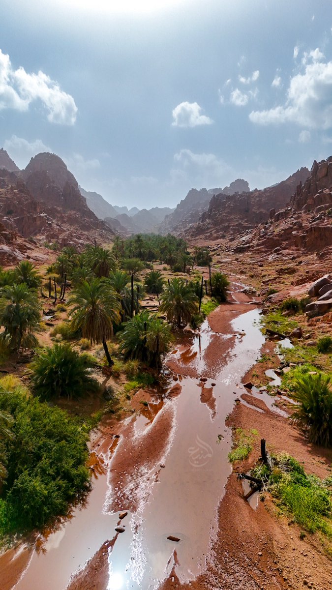 عبدالله محمد المنيع tweet media