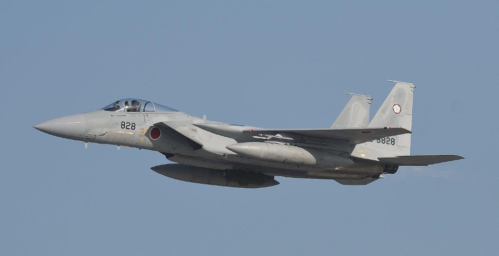 いくりん大佐@鷲を積め団 コムコム団 ひまわり会 tweet media