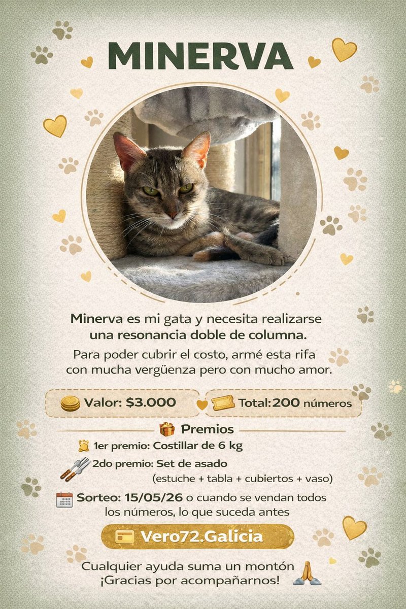 Vero Rodriguez tweet media
