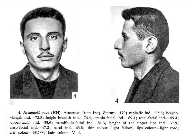 Arab Maeqili 🇵🇸 tweet media