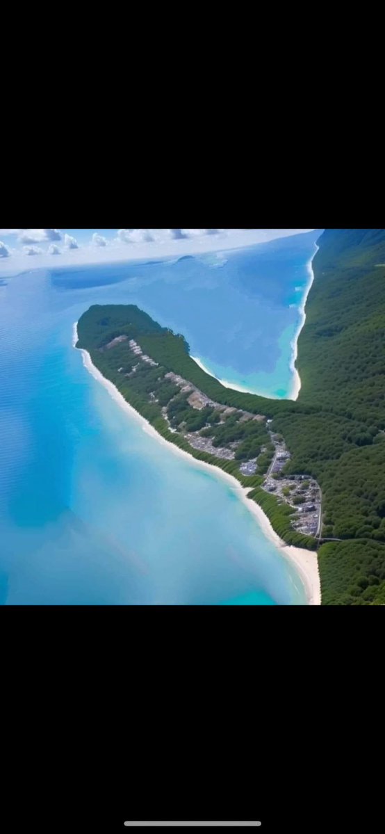 TinerseTiner tweet media