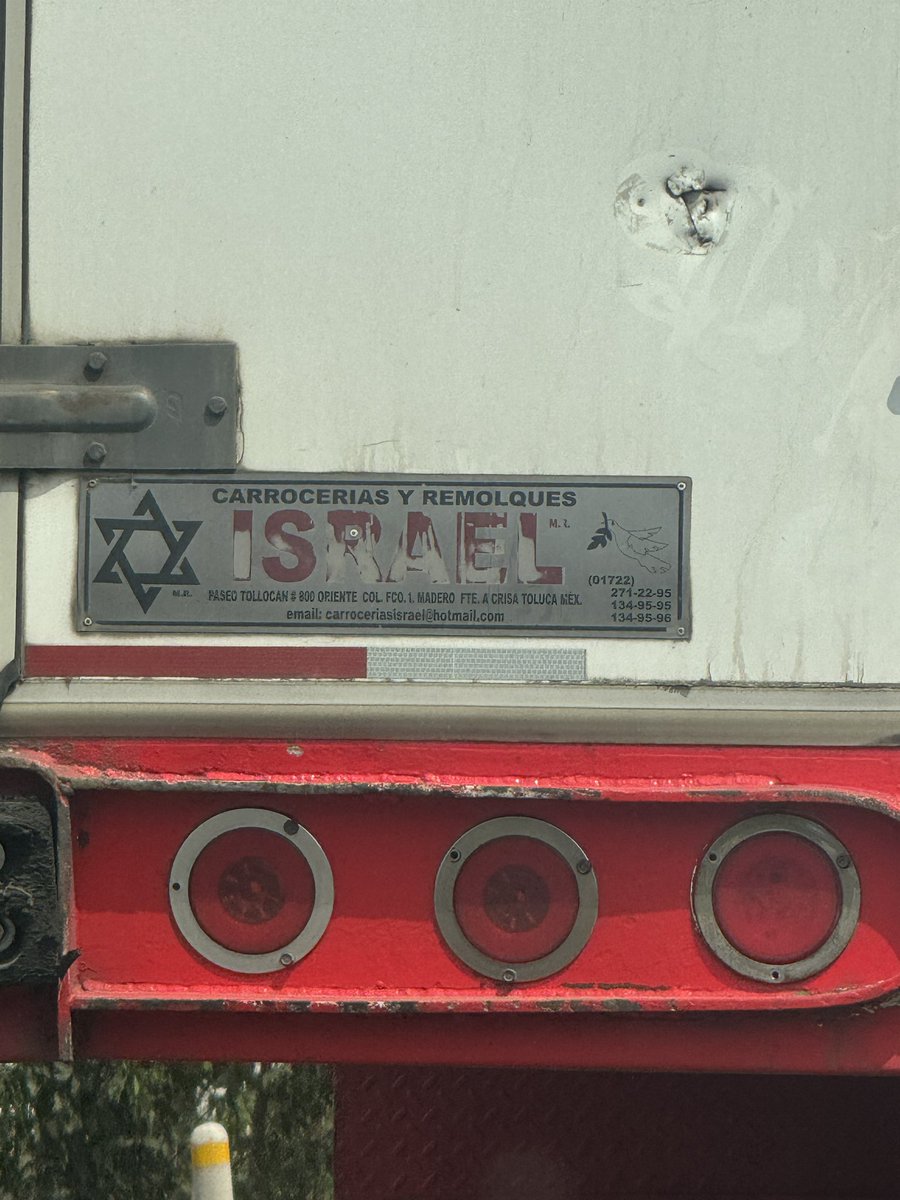 La Oxímoron 🐢🫖 tweet media