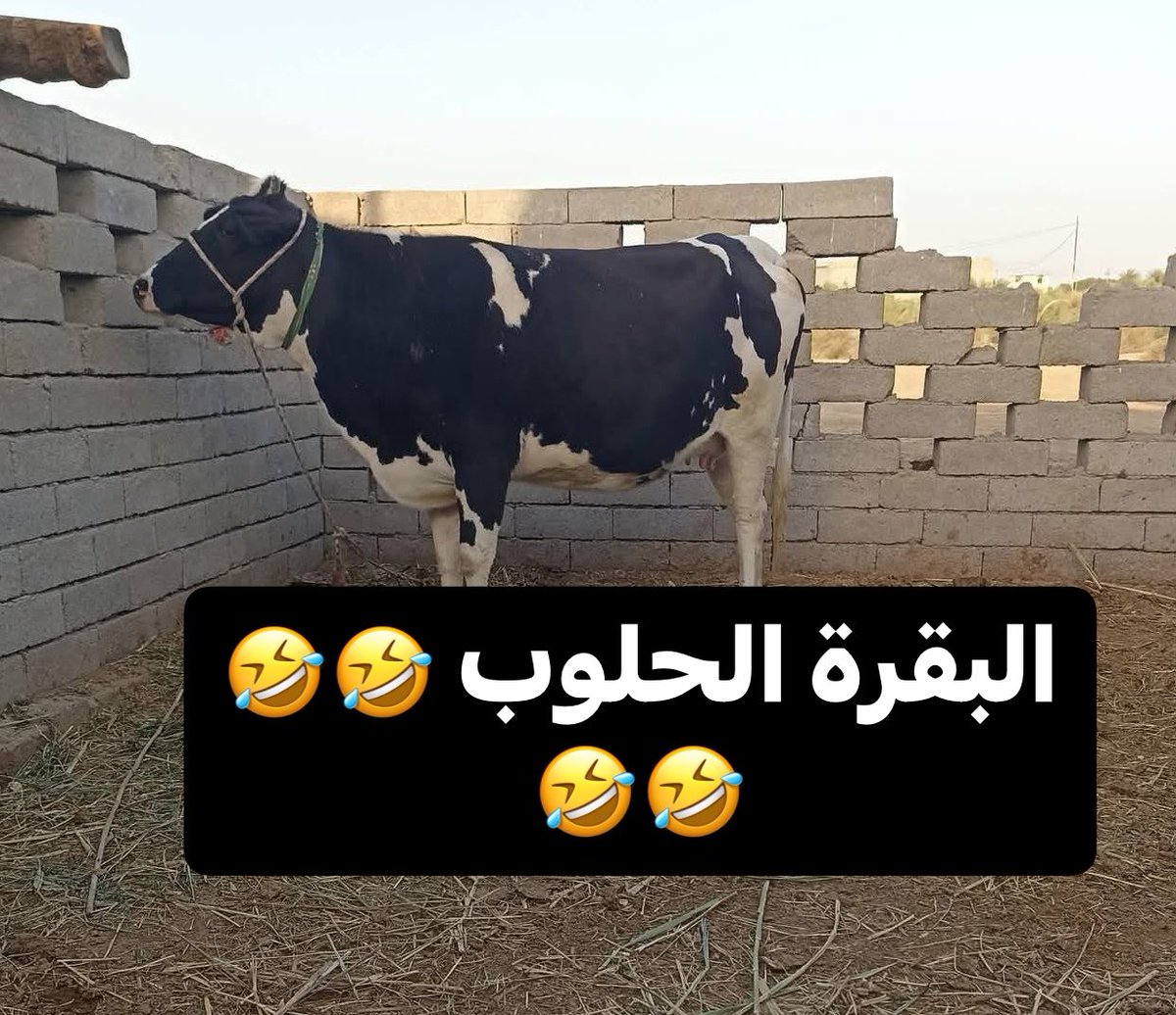 احــــمــــد tweet media