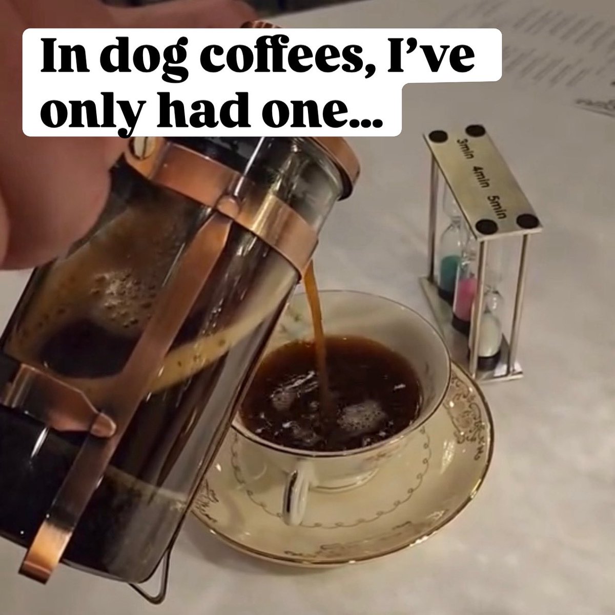 Diane Capri tweet media