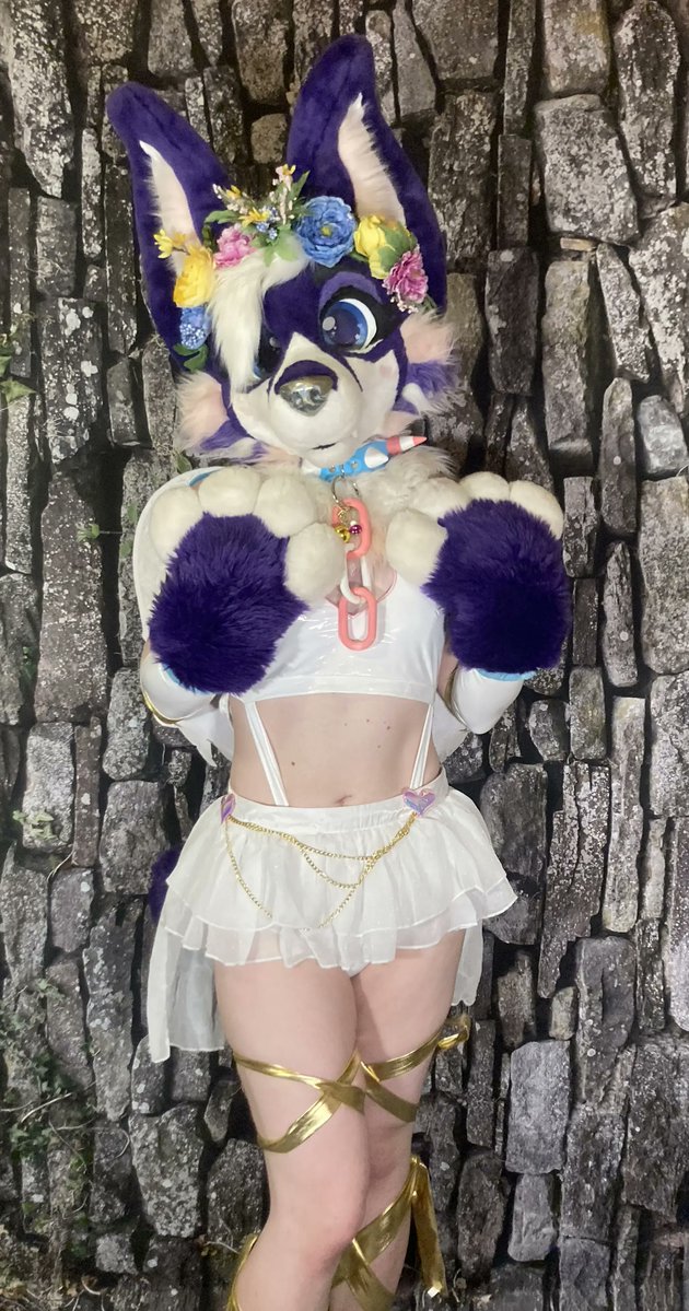 secfurry's tweet image. Don't worry I'll be your guardian angle 😆💜😘

#FursuitFriday #furry #furries #fursuit
