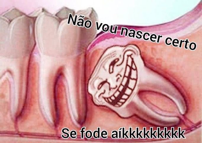 Shitpost só que de verdade tweet media