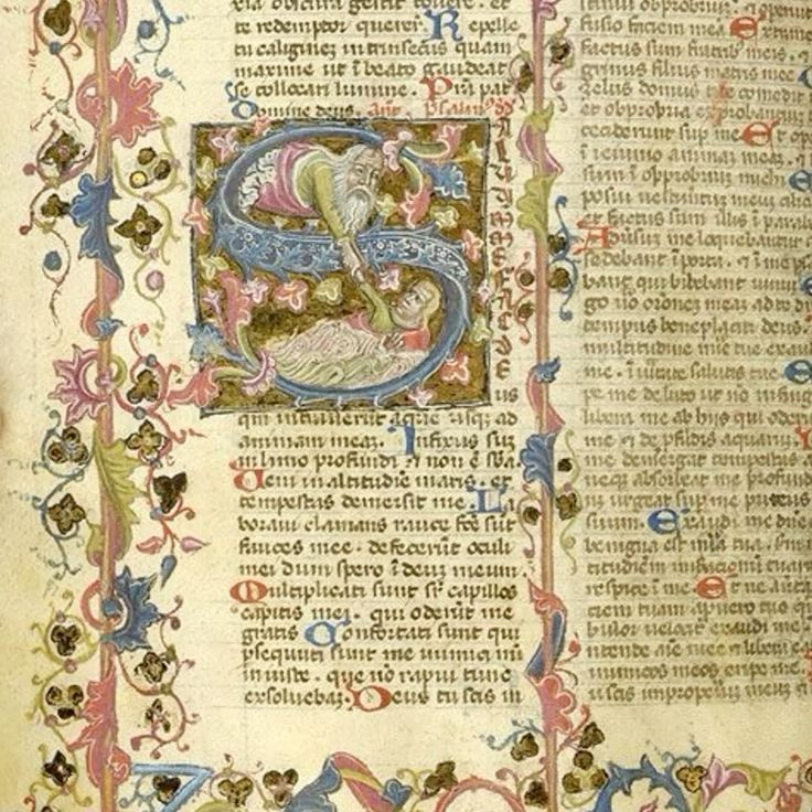 Valentine ☘️🌷 tweet media