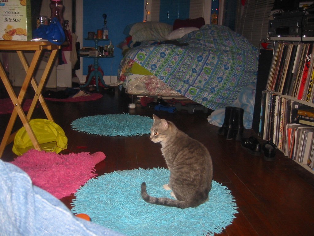 Old Internet tweet media