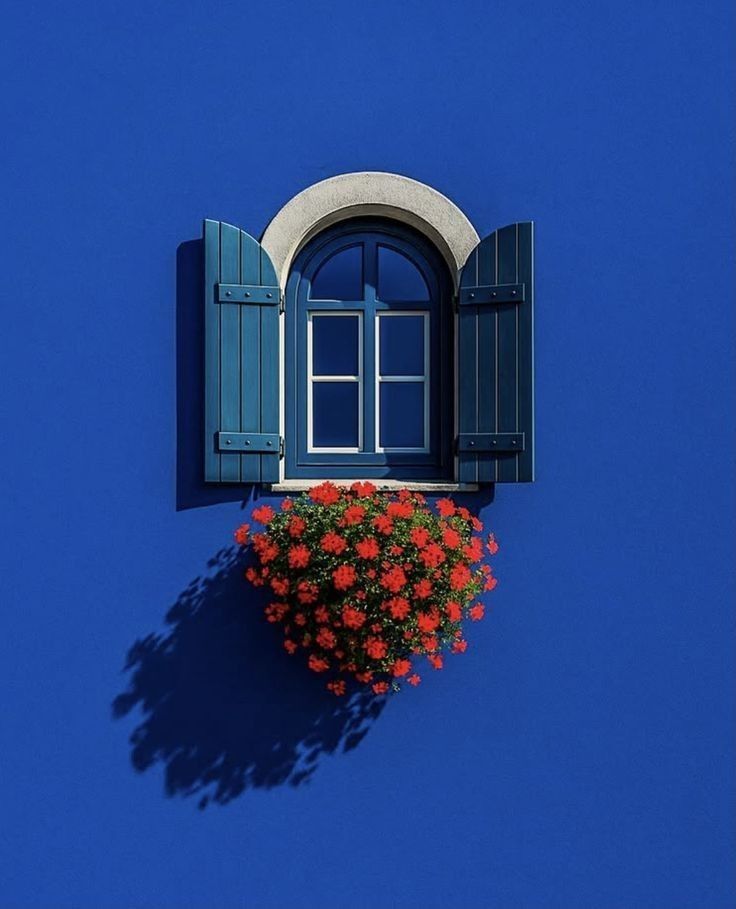 Снежана tweet media