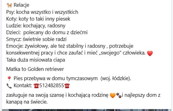 Robwalka Wolf tweet media