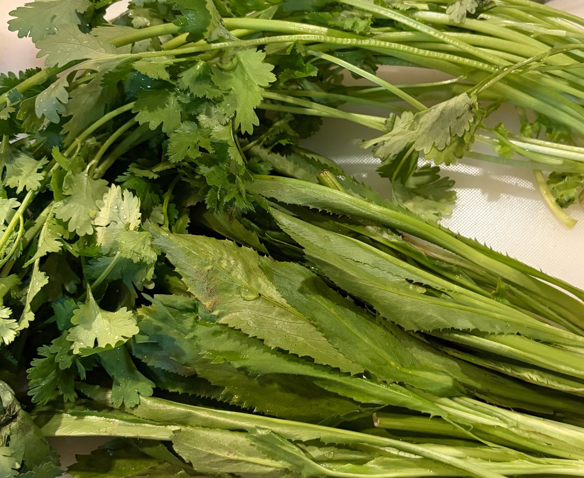 바, 차가운 새벽🏳️‍🌈 tweet media