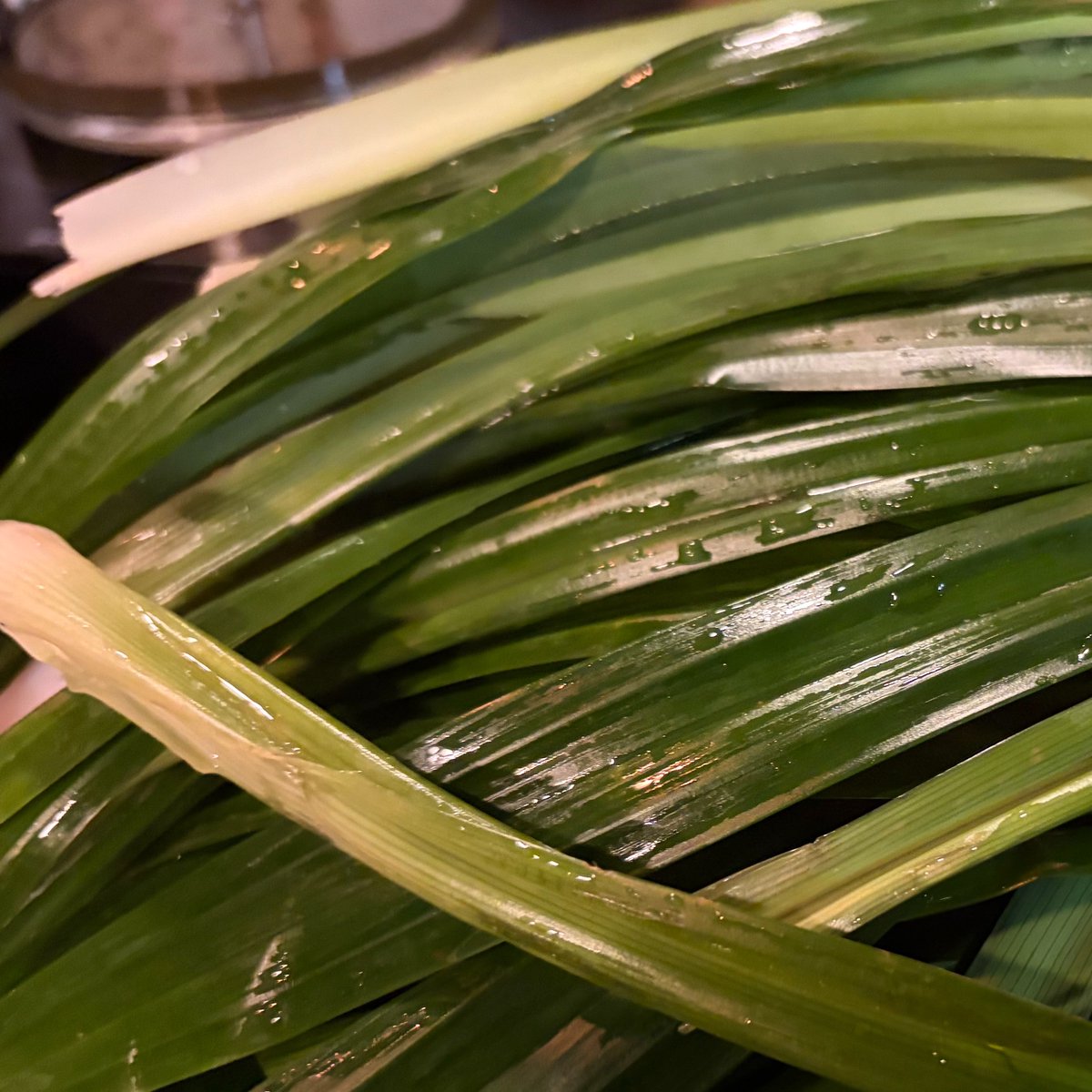 바, 차가운 새벽🏳️‍🌈 tweet media