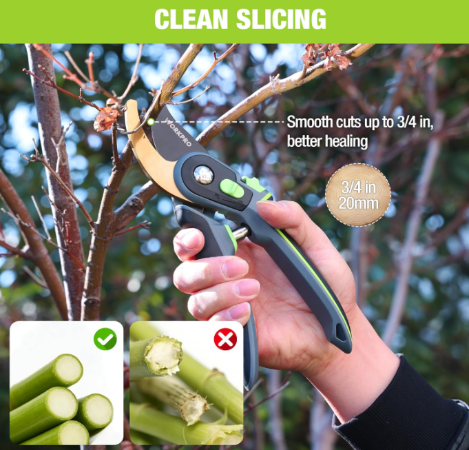 WORKPRO® Tools tweet media