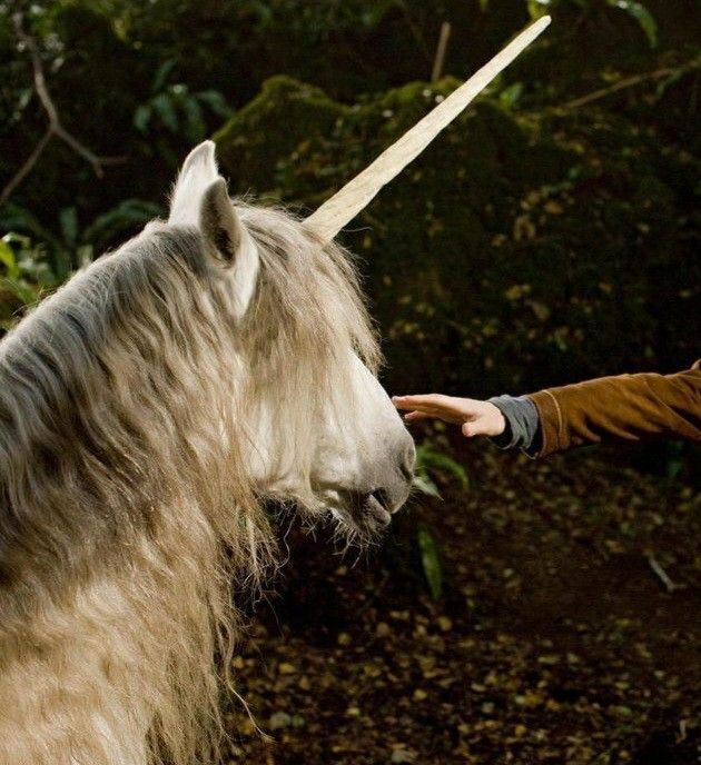 Valentine ☘️🌷 tweet media