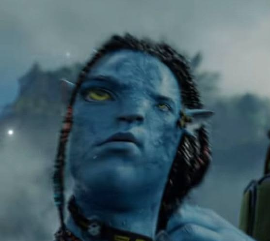 ni 🇧🇷 🇵🇸 .｡.:* fok my studies tweet media