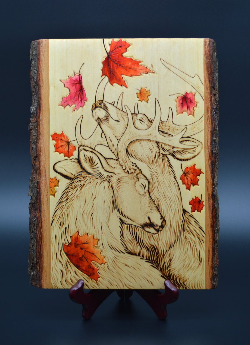 Luke 🐾 tweet media