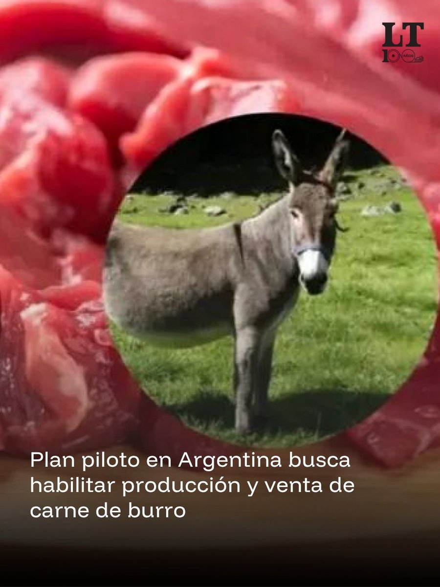 Diario La Tribuna Paraguay tweet media