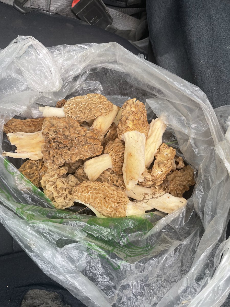 Chad Ward tweet media