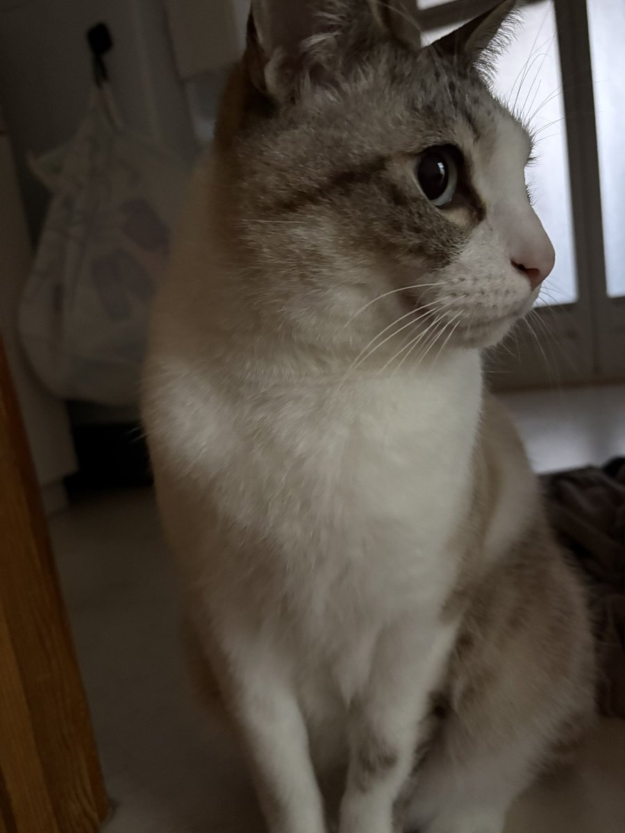 NASDAQは迅悠一@NBA tweet media