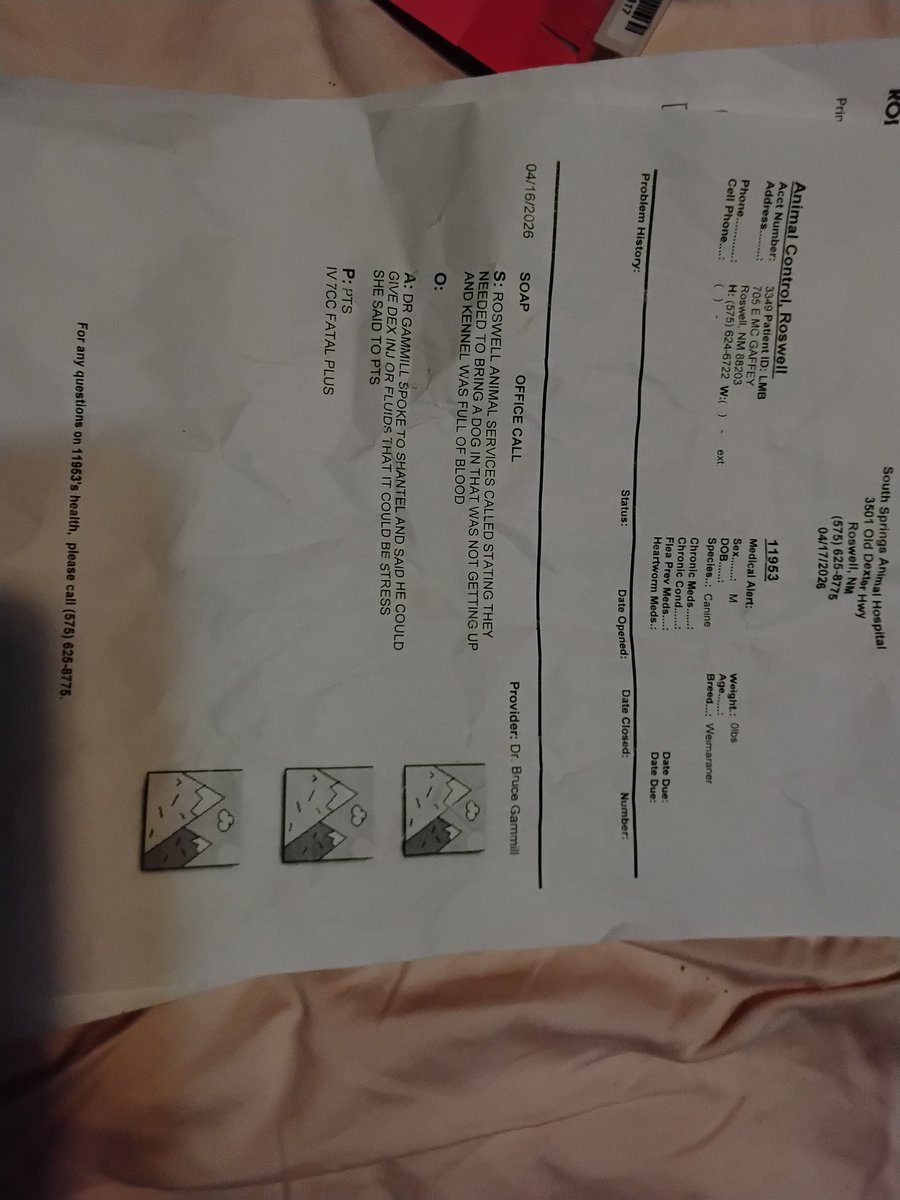 GypsyWolf tweet media