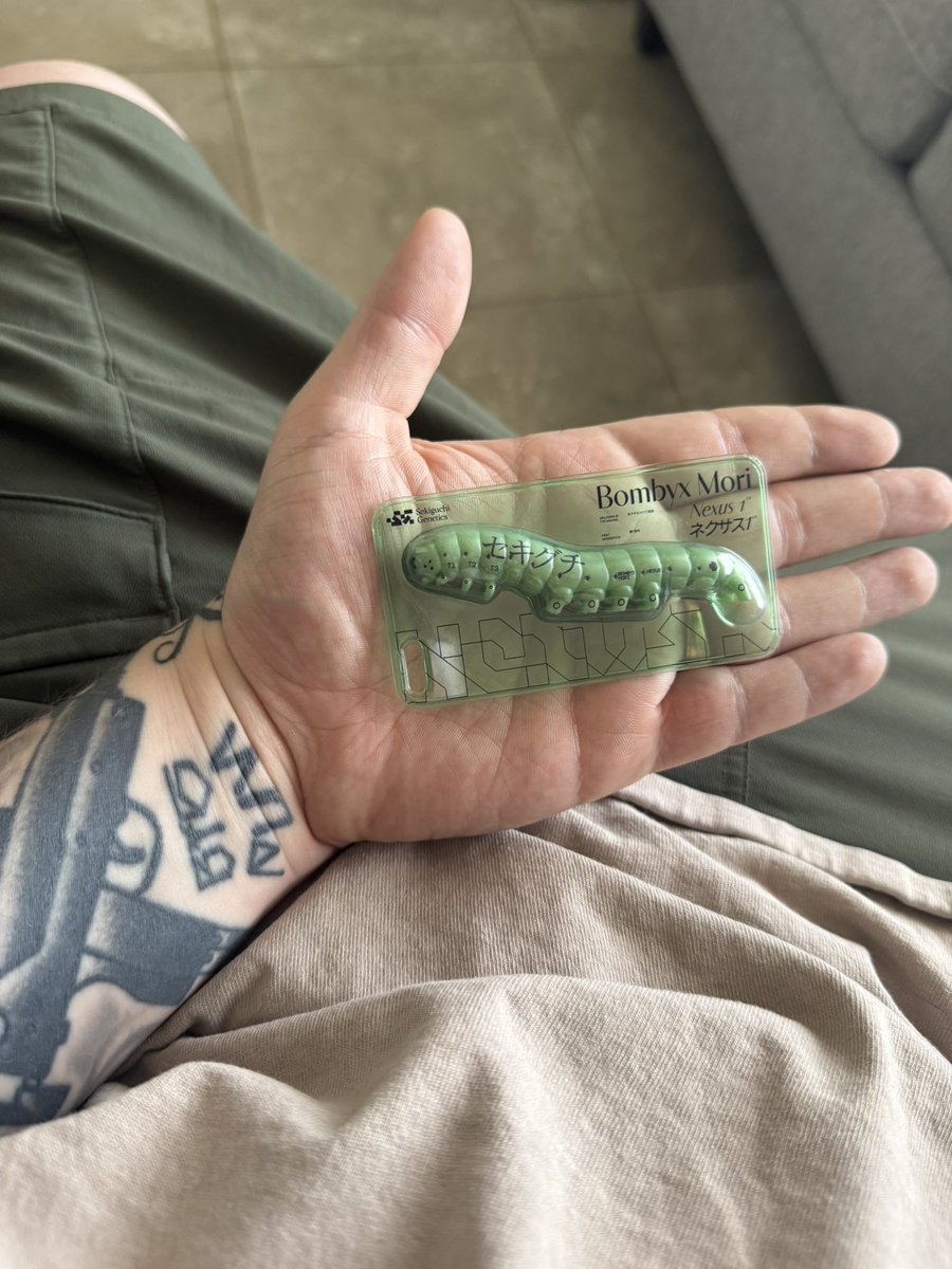 Troy Martin tweet media