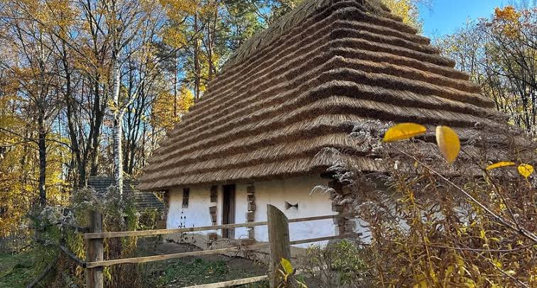 ねみこ tweet media