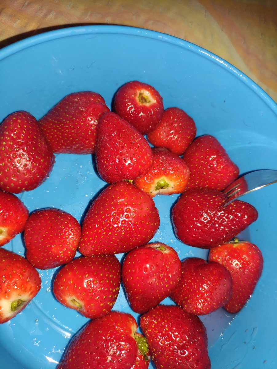 Alexandra B Weiss tweet media