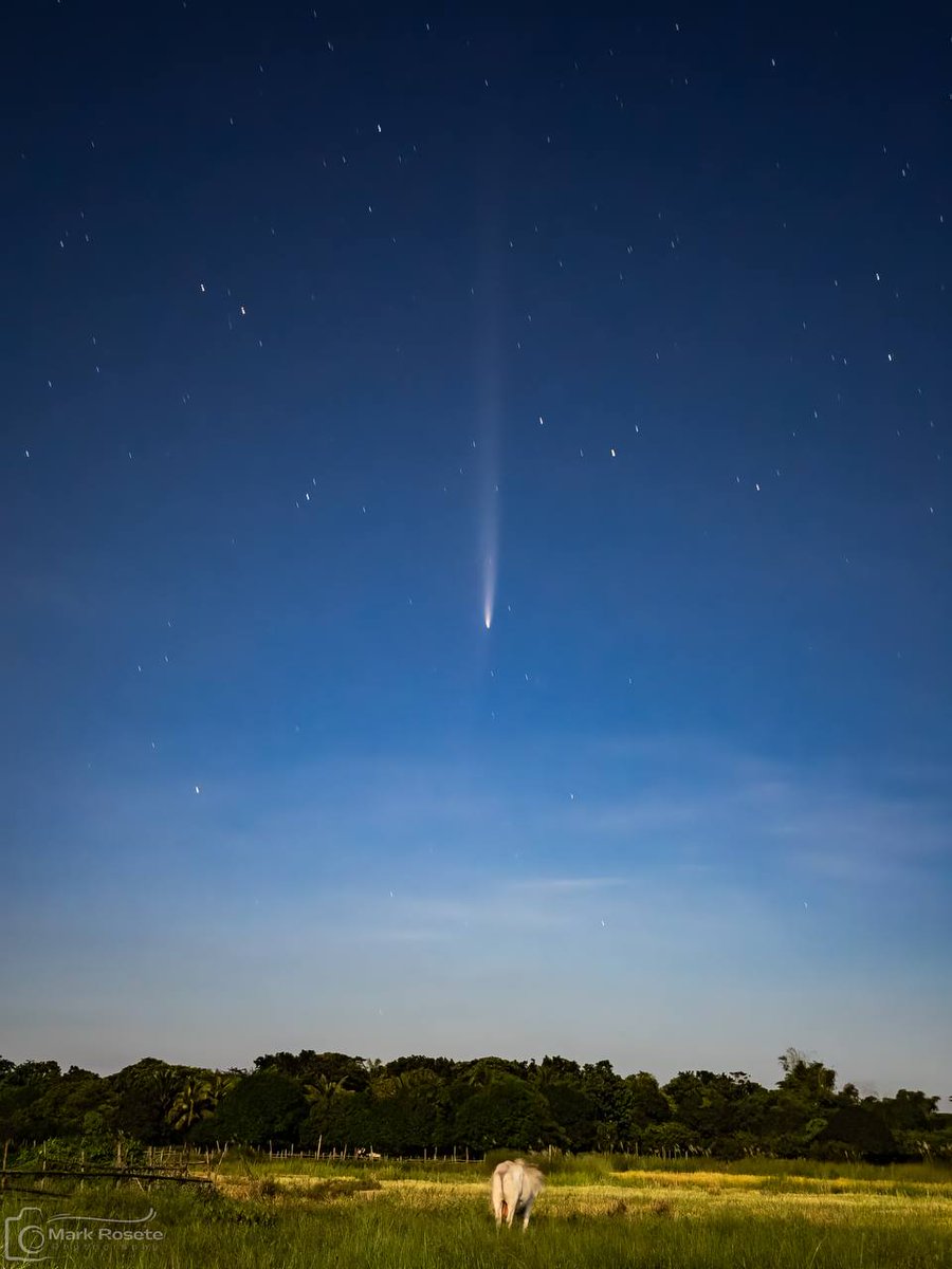 smartphone_astr's tweet photo. The weekly profile pic at Telegram Group Smartphone Astrophotography, from our archive. Inspired by the current visibility of C/2025 R3, a photo of Tsuchinshan ATLAS by Mark Rosete / #astrophotography #astronomy #comet https://t.co/2yA986z1IB