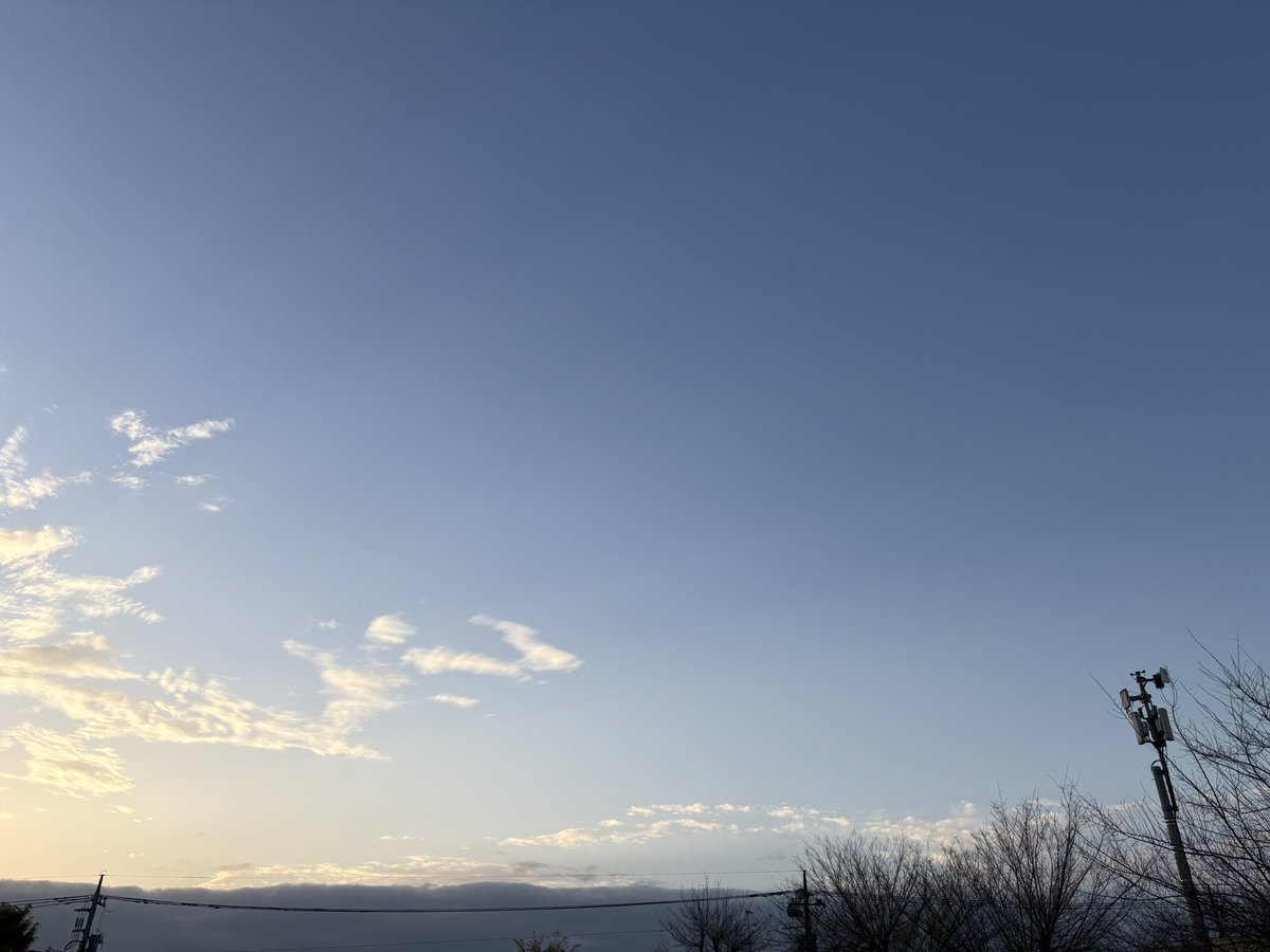 ラムネ tweet media