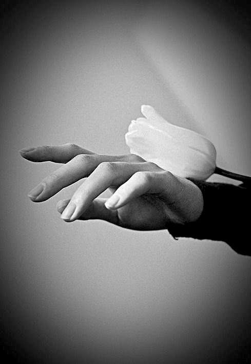 Leslie Stanley ღ🦝 tweet media