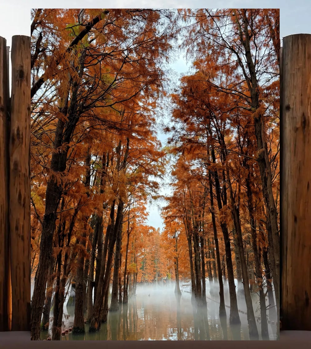 Joseph Cleveland tweet media