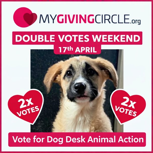 LisaClareRead2's tweet image. Please remember to vote once a week for @DogDeskAction 
This will help them secure a much needed grant to help the dogs in their care 🐶 
It’s DOUBLE VOTES WEEKEND too 🙏
Please Vote via link below :
⬇️⬇️
mygivingcircle.org/dog-desk-anima…

Thanks for your support 💕🐾

#WeekendVibes #dogs