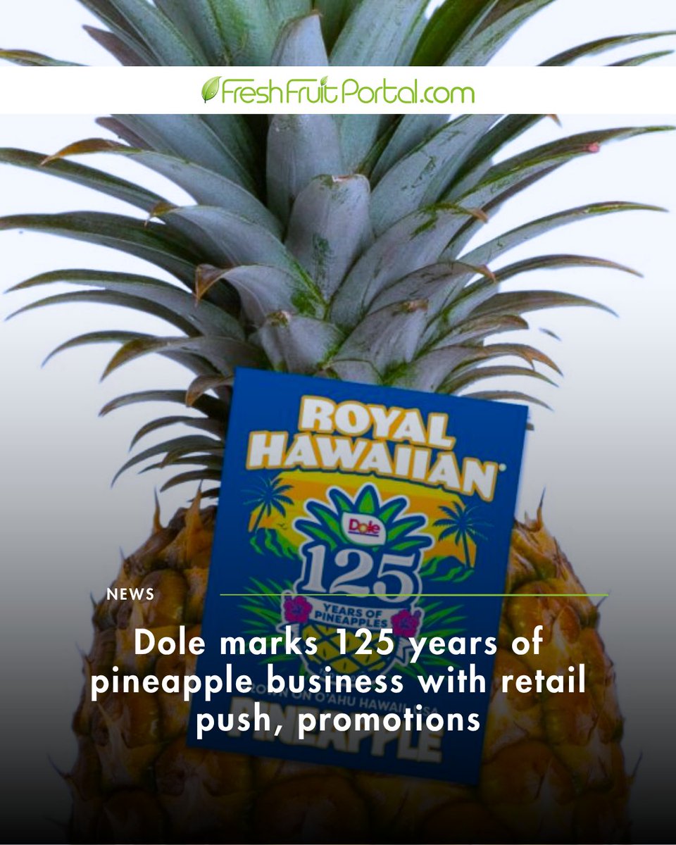 FruitPortal's tweet image. Dole celebrates 125 years of pineapple 🍍

The company is rolling out a global campaign with retail promotions, events, and new consumer experiences to boost pineapple consumption.

Read more in the link: f.mtr.cool/tjblodtntr

#Pineapple #Dole #Retail #FreshProduce