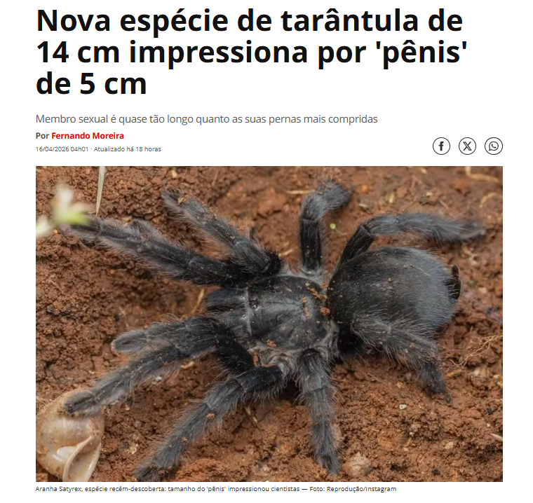Lara tweet media