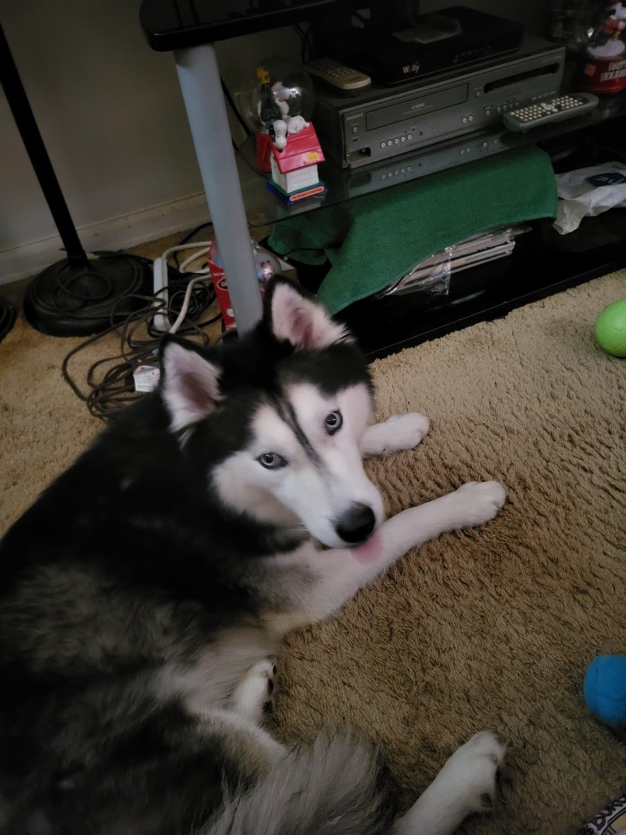 Nicholas Ryan Dunn tweet media