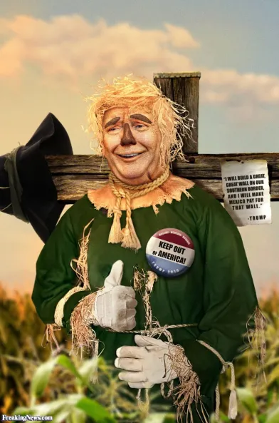 Alexander⚓️⭐ tweet media