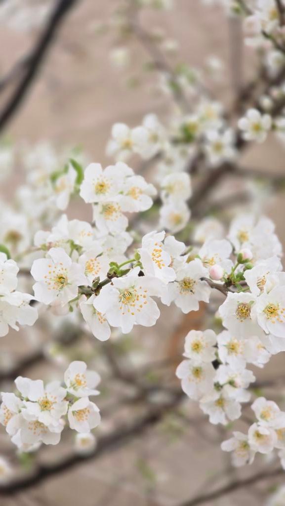 ✨️دیزگینر tweet media