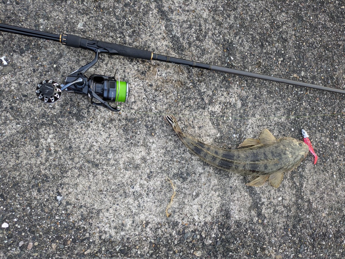 みっつ tweet media