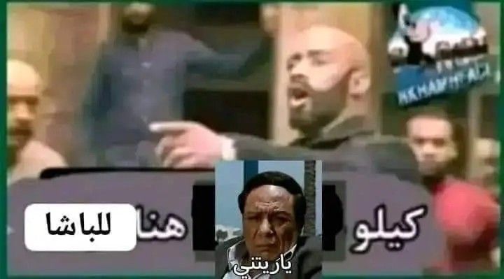 卂卄爪乇ᗪ tweet media