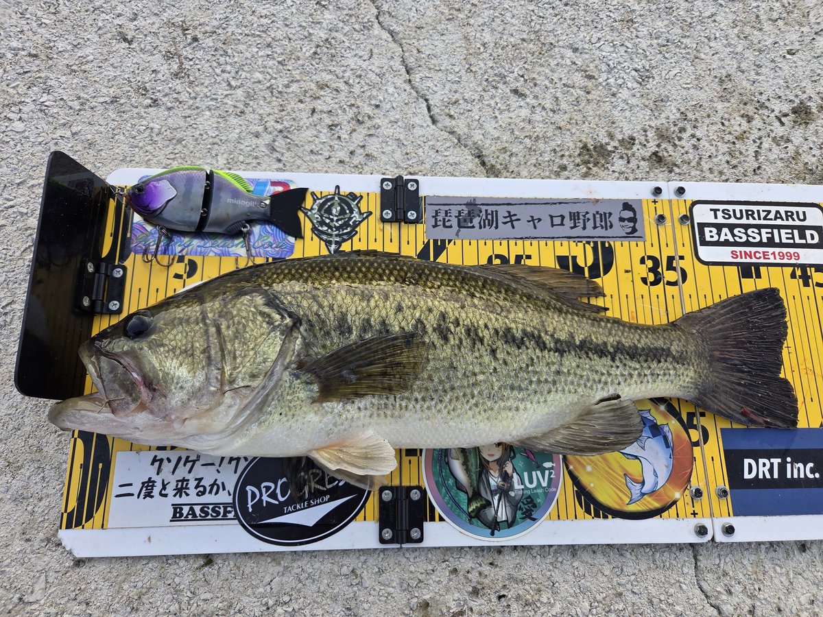 Crazy Ripper tweet media