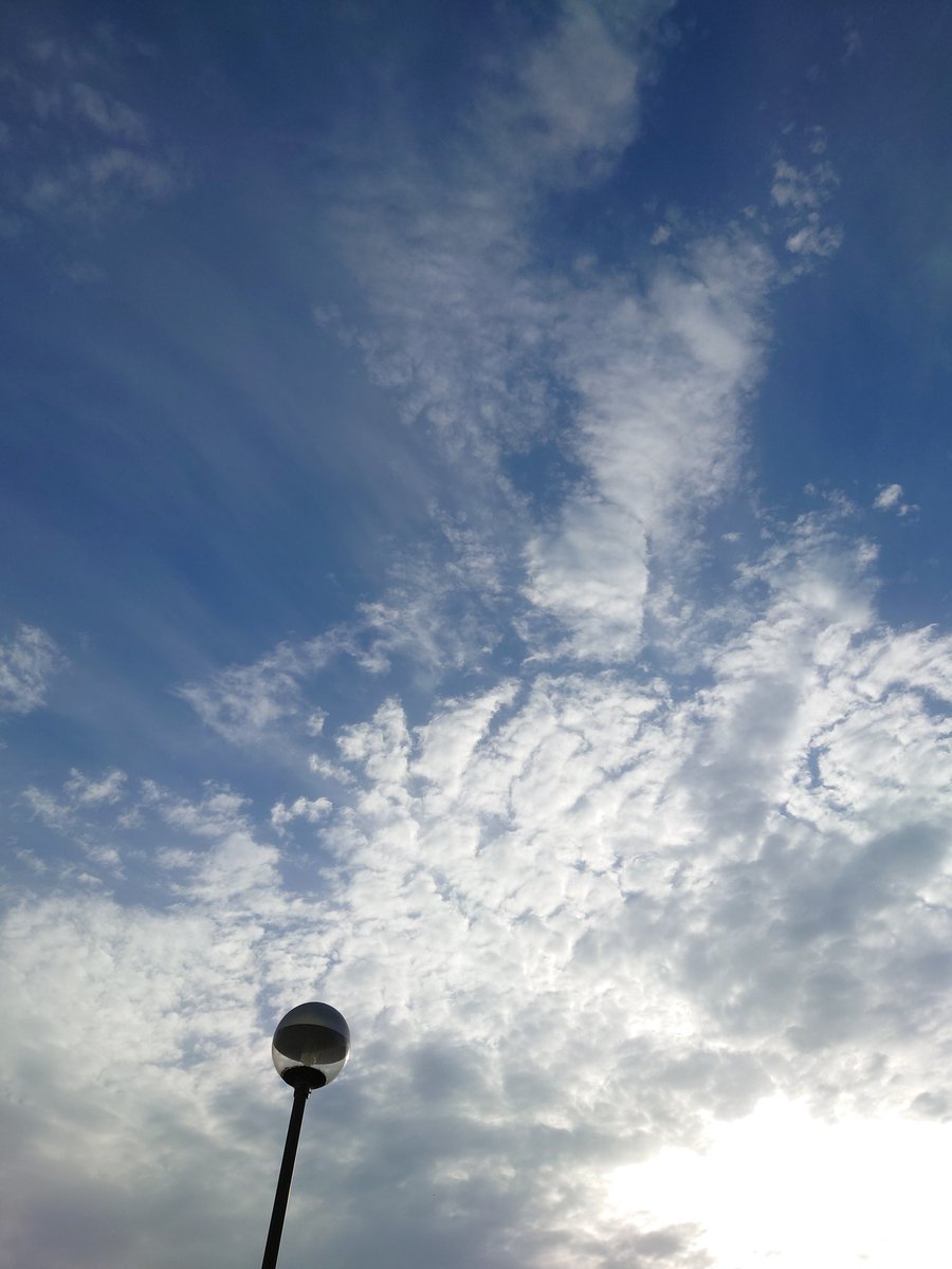 伝記 かんな tweet media