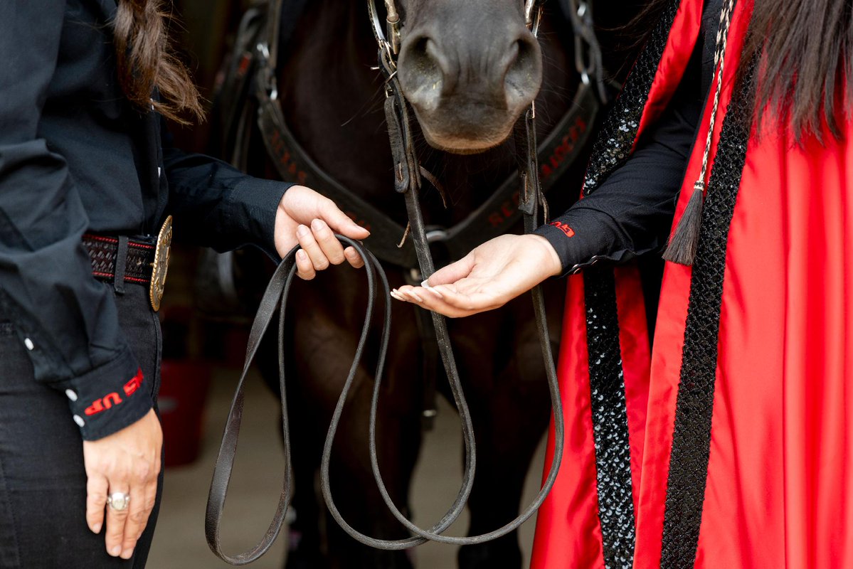 Texas Tech University tweet media